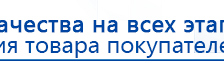 Прибор Дэнас ПКМ купить в Ишиме, Аппараты Дэнас купить в Ишиме, Дэнас официальный сайт denasolm.ru